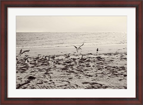 Framed Dream of the Beach II Print