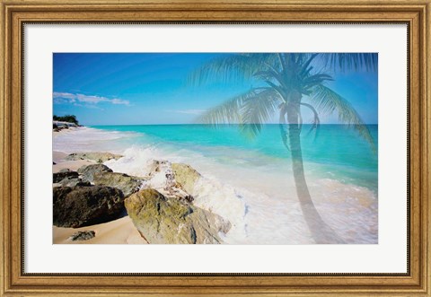 Framed Palm by the Rocks Print