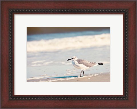 Framed See the Seagull Print