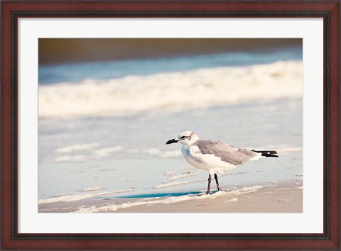 Framed See the Seagull Print