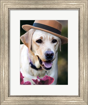 Framed Dapper Dog Print