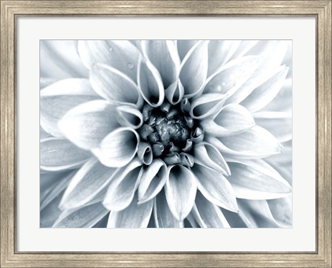 Framed Bright White Bloom Print