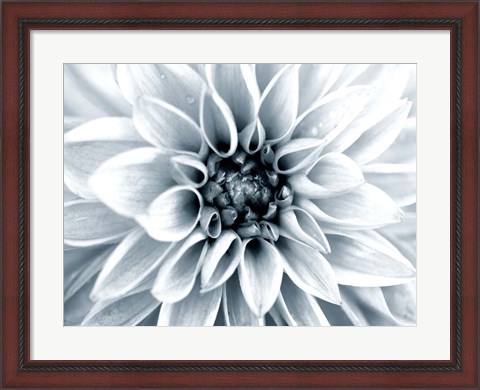 Framed Bright White Bloom Print