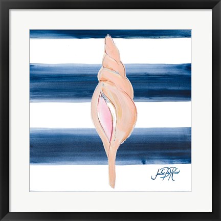 Framed Nautical Shell IV Print