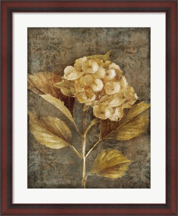 Framed Antique Hydrangea I Print