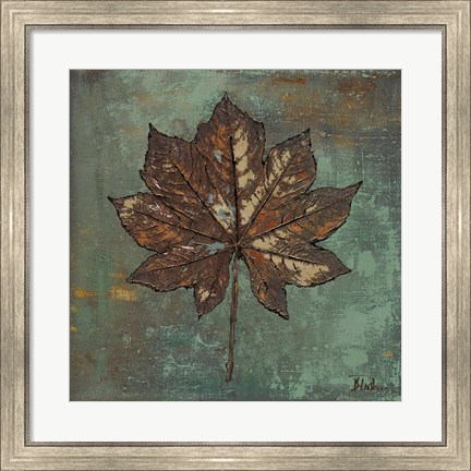 Framed Maple IV Print