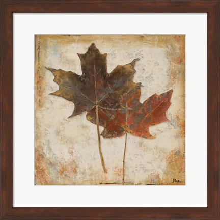 Framed Natural Leaves IV Print