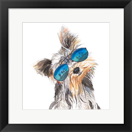 Framed Yorkie with Shades Print