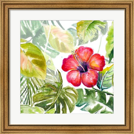 Framed Hibiscus on Selva Print