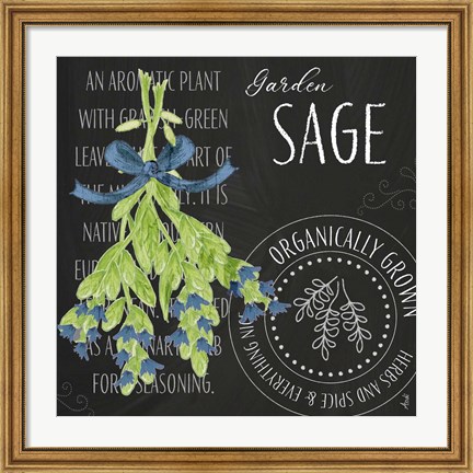 Framed Garden Grown Herbs II Print