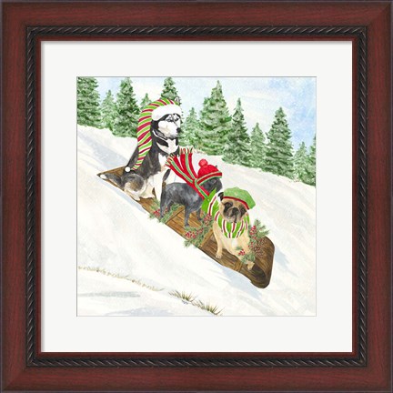 Framed Dog Days of Christmas III Sledding Print