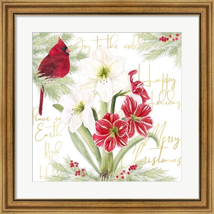 Framed Merry Amaryllis II Print