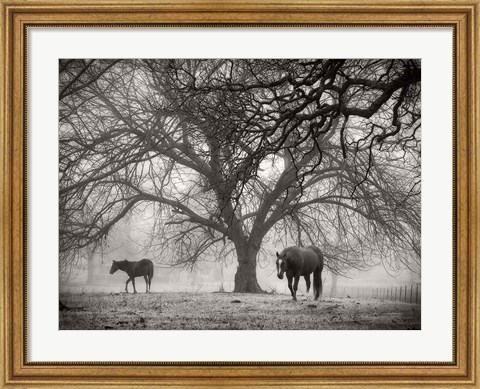 Framed Morning Calm II BW Print