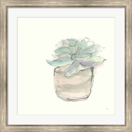 Framed Succulent IV Print