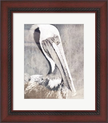 Framed Pelican Print