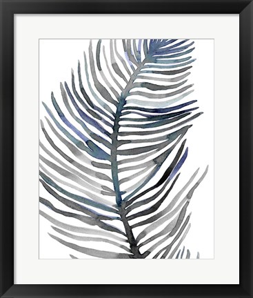 Framed Blue Feathered Palm III Print