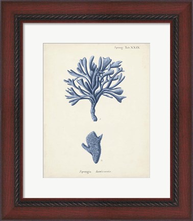 Framed Antique Coral in Navy IV Print