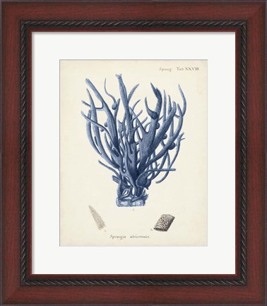 Framed Antique Coral in Navy V Print