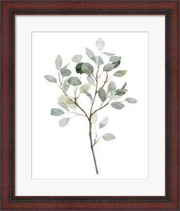 Framed Seaglass Eucalyptus II Print