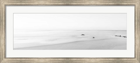 Framed Black &amp; White Water Panel II Print