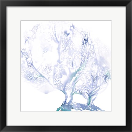 Framed Navy Sea Fan I Print