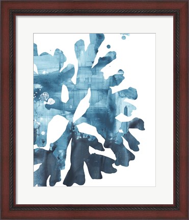 Framed Inkwash Kelp III Print