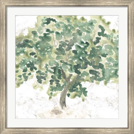 Framed Country Tree II Print