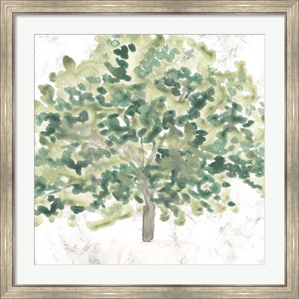 Framed Country Tree III Print