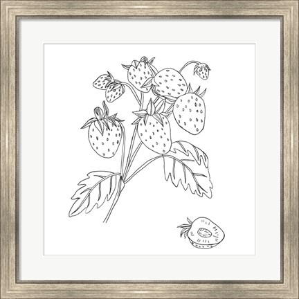 Framed Wild Strawberries II Print