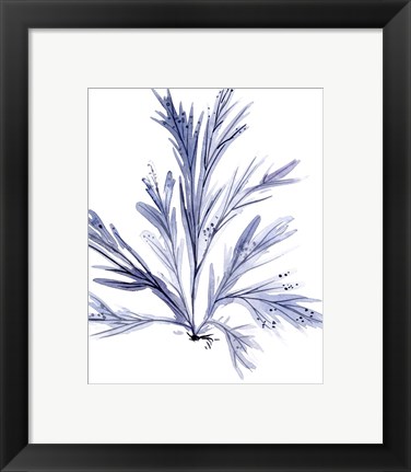 Framed Living Under Sea IV Print