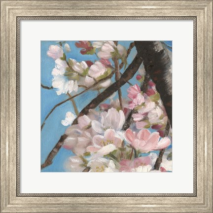 Framed Cherry Blossoms II Print