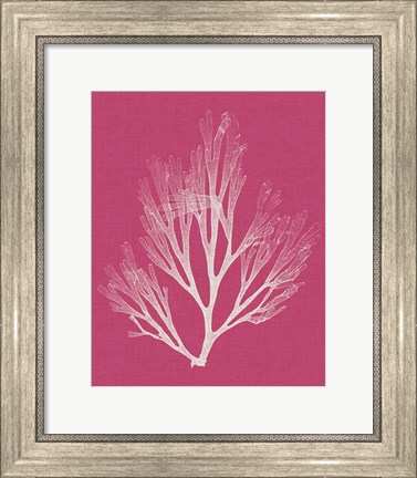 Framed Seaweed Pop III Print