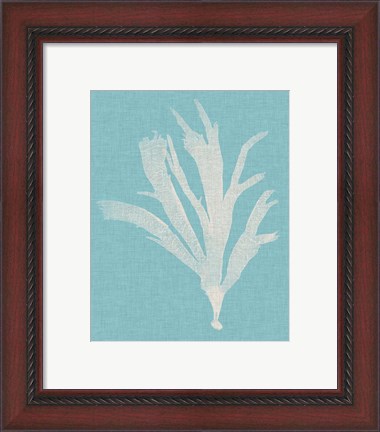 Framed Seaweed Pop IV Print