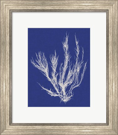 Framed Seaweed Pop VI Print