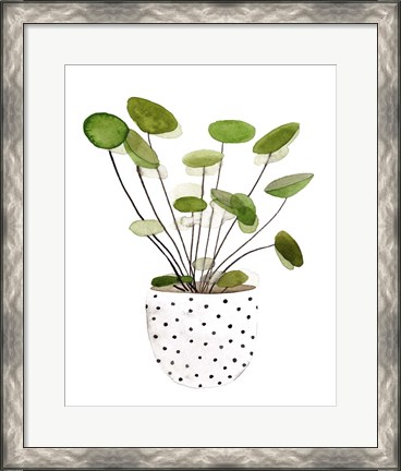 Framed Plant in a Pot II Print