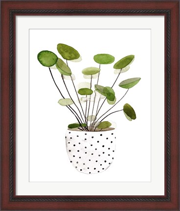 Framed Plant in a Pot II Print