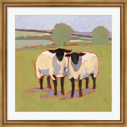 Framed Suffolk Sheep III Print