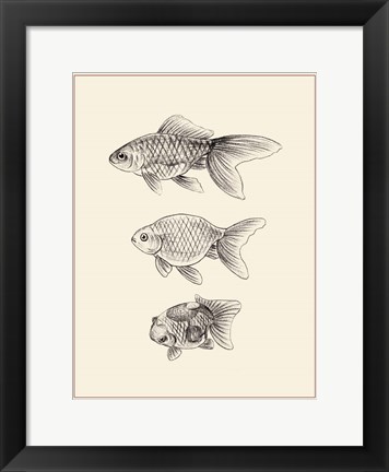 Framed Goldfish IV Print