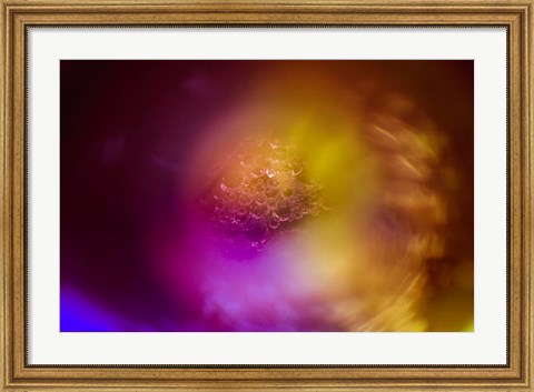 Framed Frozen Bubbles 4 Print