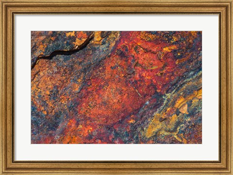 Framed Baja Cresta Flagstones 1 Print