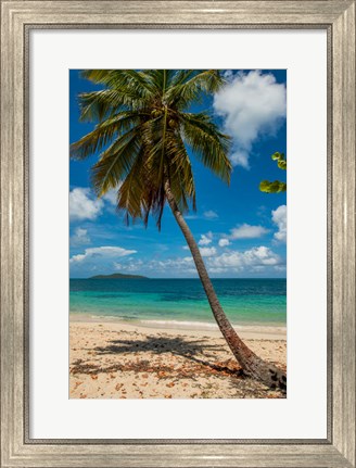 Framed Cramer Park Beach, St Croix, US Virgin Islands Print