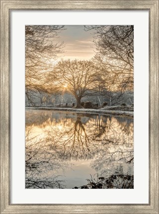 Framed Frosty Morning II Print