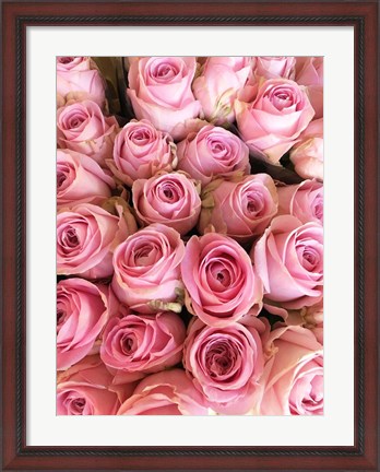 Framed Paris Petals 3 Print