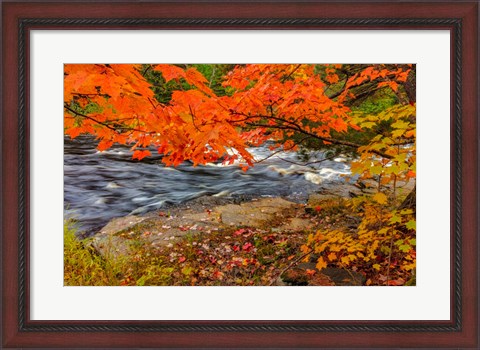 Framed Sturgeon River In Autumn Near Alberta, Michigan Print