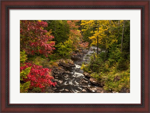 Framed New York, Adirondack State Park Stream And Forest In Autumn Print