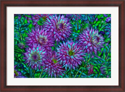 Framed Oregon, Shore Acres State Park, Abstract Of Dahlias In Garden Print