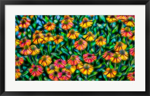 Framed Oregon, Coos Bay Abstract Of Flower Garden Print