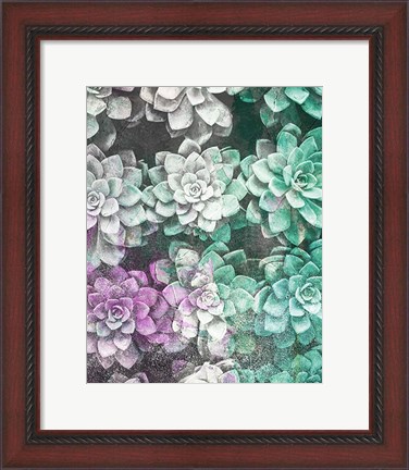 Framed Colored Succulents Print