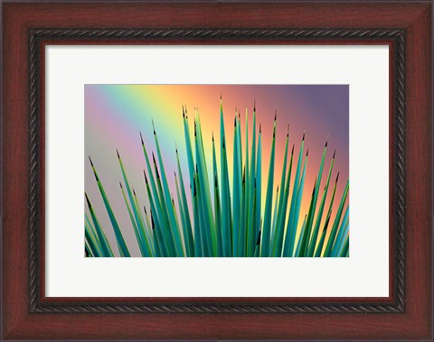 Framed Prism Plant Print