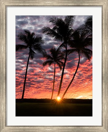 Framed Sunset Silhouette Print